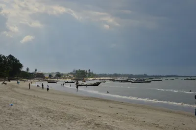 DSC_5466 (Large).JPG